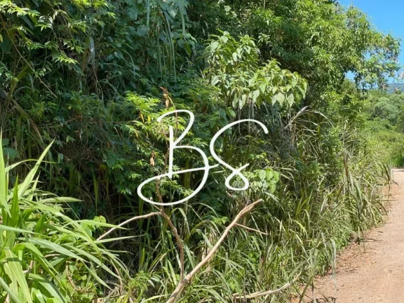 Imagem SITIO RESIDENCIAL em TRÊS COROAS - RS, Linha 28