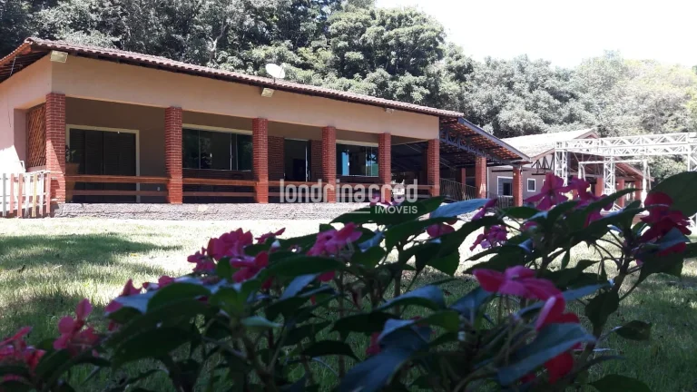 Imagem Chácara à venda 33271M², Zona Rural, Assaí - PR