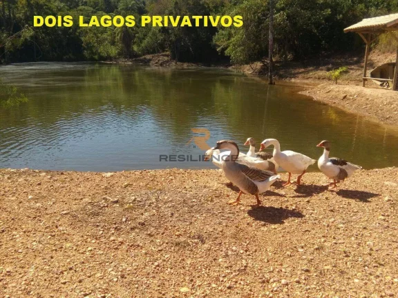Imagem Lotes em condomínio de 1000 m2 na cidade de Jequitibá-MG