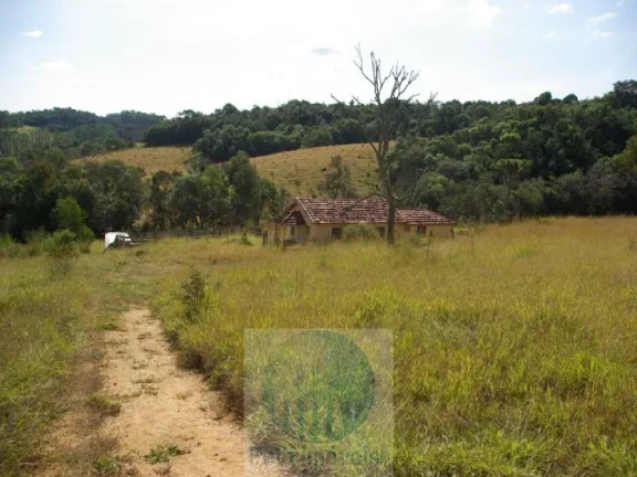 Imagem SÍTIO A VENDA 12,5 ALQUEIRES a R$ 88.000 o Alqueire, JACUÍ - SUL DE MINAS GERAIS, para gado, milho, soja.