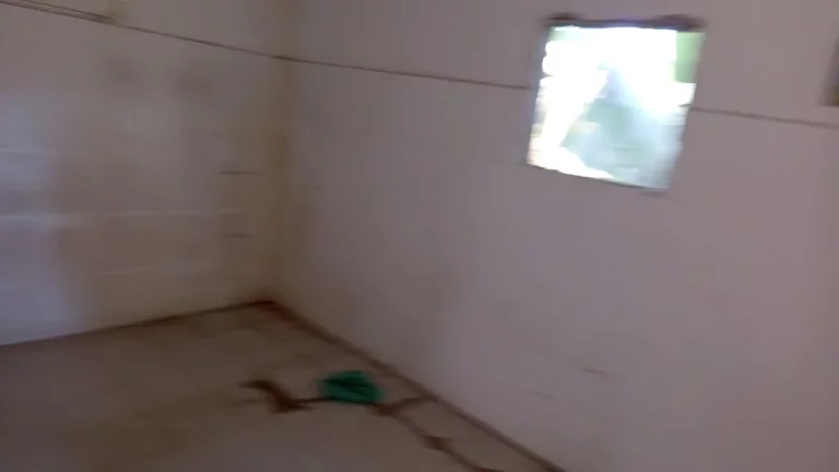 Imagem VENDO CASA COM QUINTAL NO BAIRRO CAMPO GRANDE!