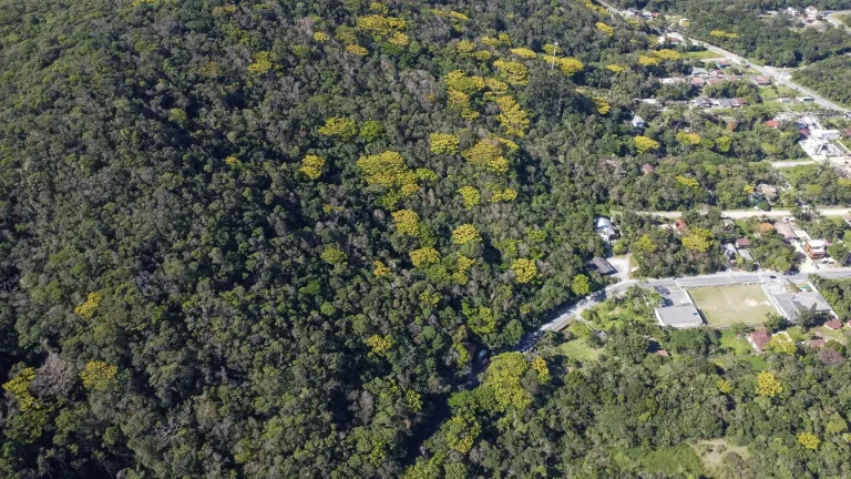 Imagem Terreno no Estaleiro