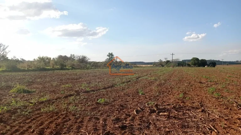 Imagem Sítio à venda no bairro Martim Francisco - Mogi Mirim/SP
