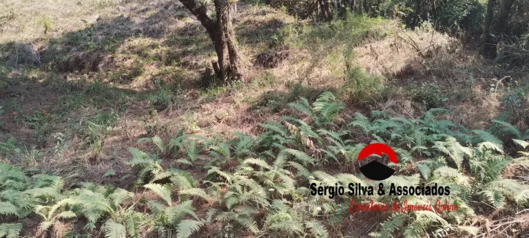 Imagem Terreno a Venda na Região do Alto da Boa Vista em Campos do Jordão -SP.