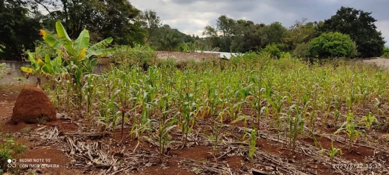 Imagem Terreno à Venda, 1.000 m² em Bosque Dos Eucaliptos - Araçoiaba Da Serra