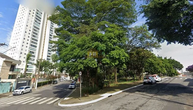 Imagem Terreno Padrão