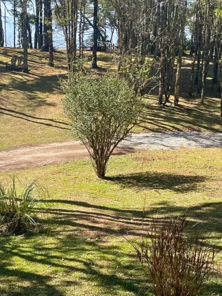 Imagem Arquitetura Autoral e Natureza Intocada: Um Refúgio Ímpar em Gonçalves