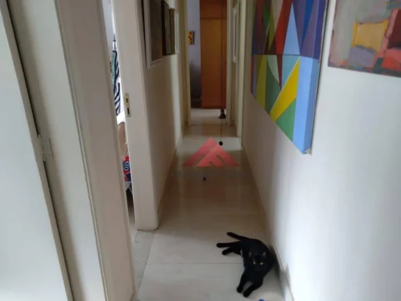 Imagem Apartamento, Sala, 3 qtos, 1 ste, 1 vaga fixa