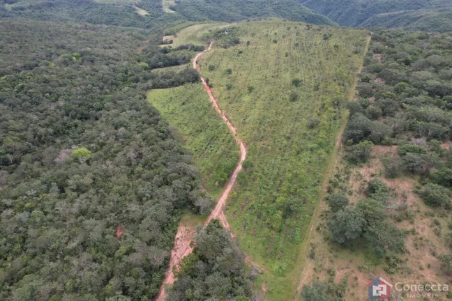 Imagem Fazenda em Centro, Presidente Olegário/MG
