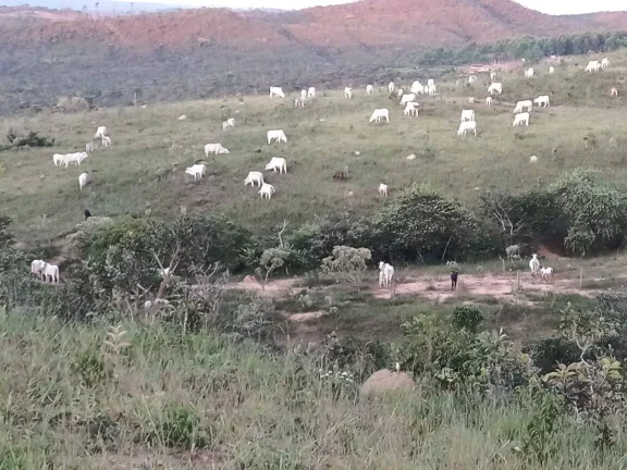 Imagem FAZENDA EM EM ABADIÂNIA DE GOIÁS