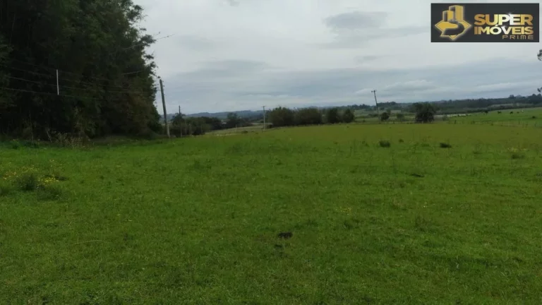 Imagem Fazenda Espetacular no Capão do Leão-RS próximo de Pelotas