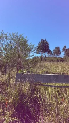 Imagem Terreno à venda, 1050 m² por R$ 160.000,00 - Recreio Rio Bonito - Suzano/SP