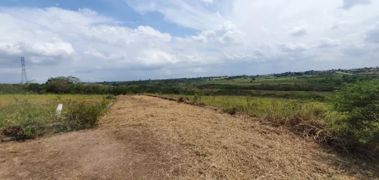 Imagem Terreno para Venda em Sapeaçu, SAPEAÇU
