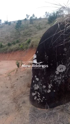Imagem Terreno com 11.500 m², Platô Pronto, Lago e Nascente à Venda em Domingos Martins