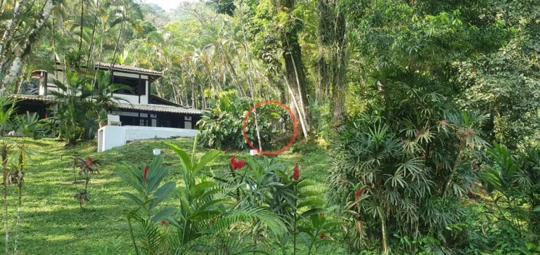 Imagem TERRENO 90.000 M²,16.232M²DE AREA USO ANTROPICO JA COM: CASA DE FAZENDA GRANDE, PISCINA,LAGO ,CASA DE CASEIRO, CANIL,GARAGEM