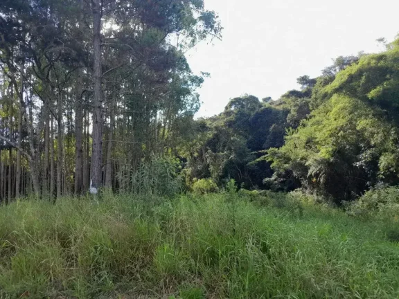 Imagem Lote à venda em Barbacena, Colônia Rodrigo Silva, 2500m2