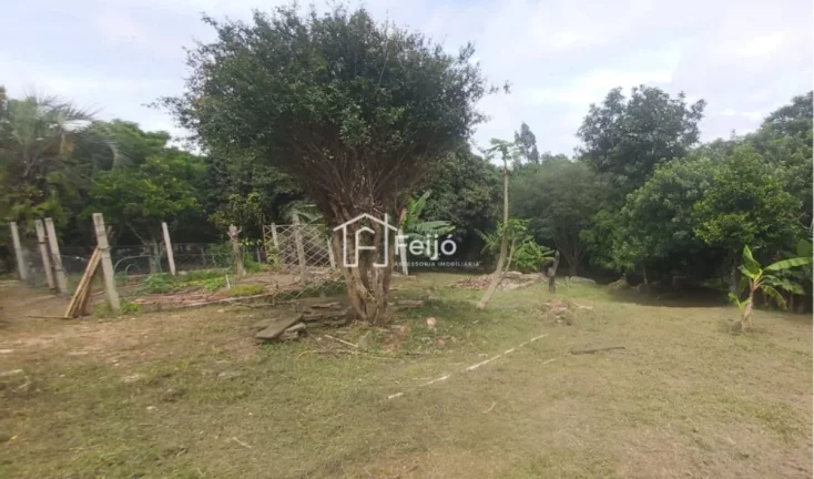 Imagem Lindo Sítio com Casa de 2 dormitórios e suíte - Zona Sul - Bairro Lageado.