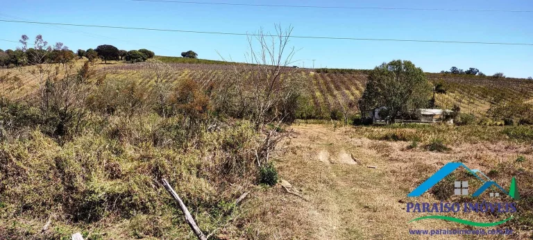 Imagem Propriedade Rural de Alto Padrão: Pronta para Produção e Investimento!