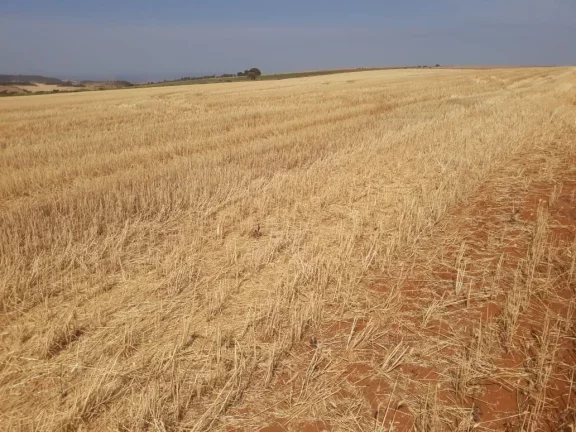 Imagem FAZENDA A VENDA - SACRAMENTO/MG