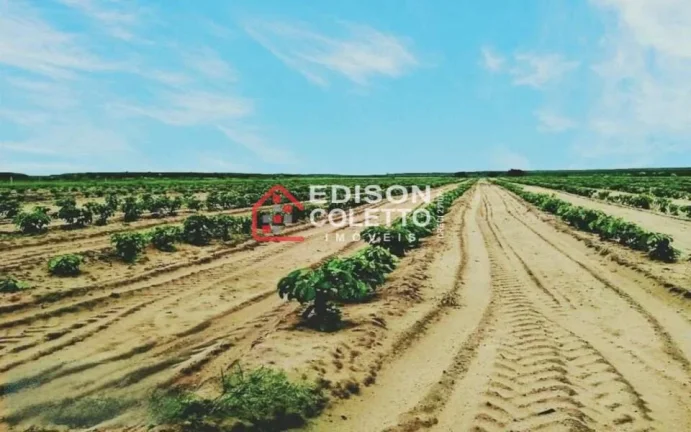 Imagem Fazenda/Sitio, Residencial/Comercial para Venda, Centro, Caraiva