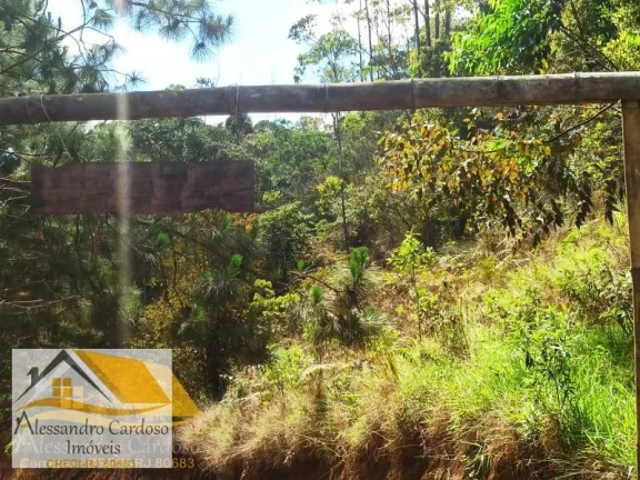 Imagem Vendo área rural com 20 mil mts², boa topografia com nascente.