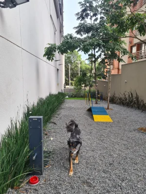 Anuncio Imóvel